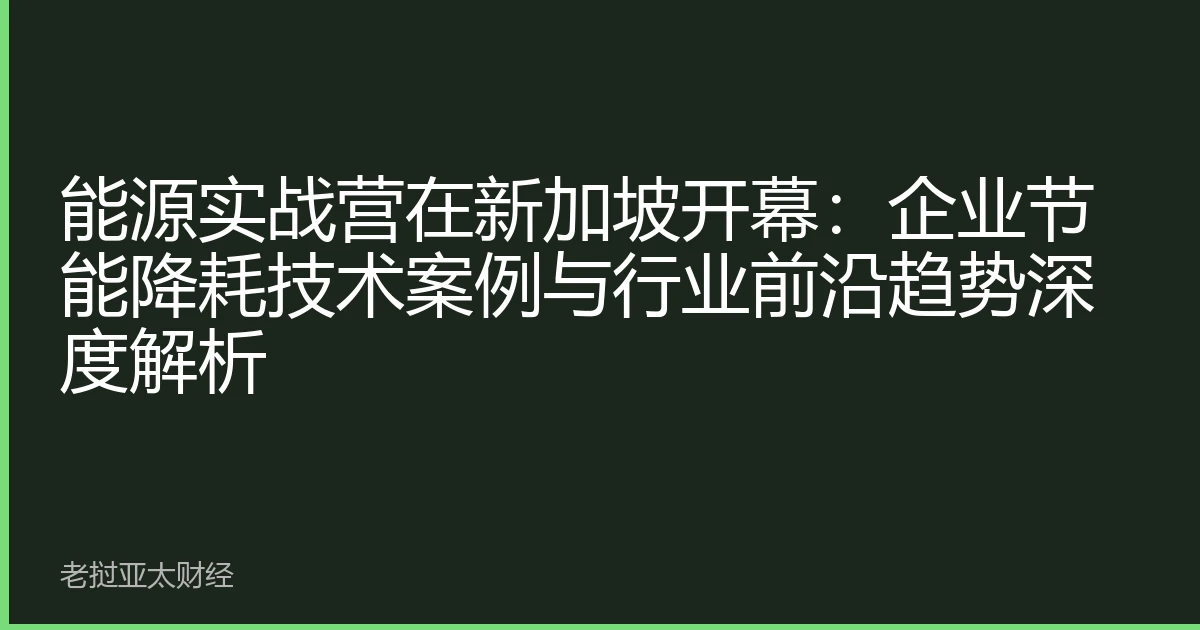 能源实战营在新加坡开幕：企业节能降耗技术案例与行业前沿趋势深度解析